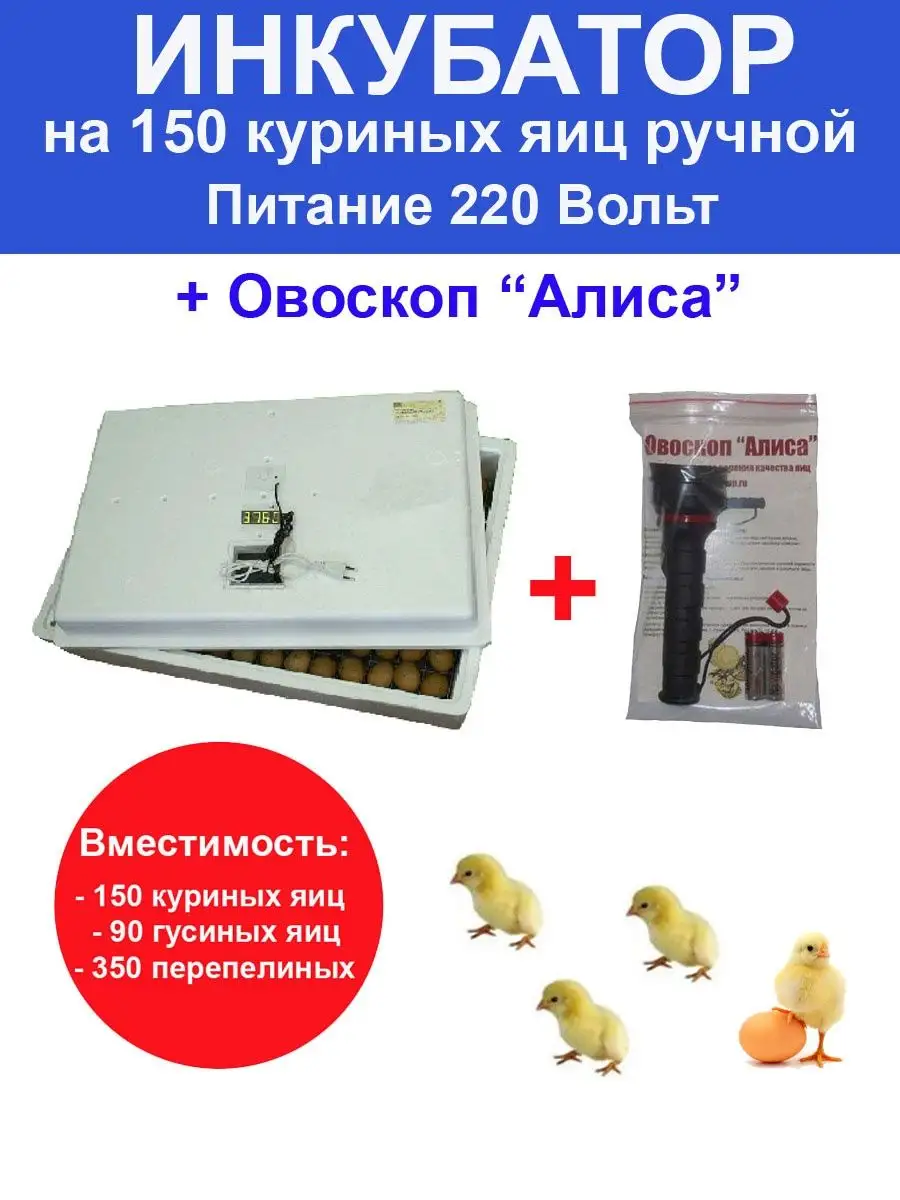 Инкубатор Идеальная наседка (63 яйца, автомат. поворот яиц, В, цифр. терморег., решётка)