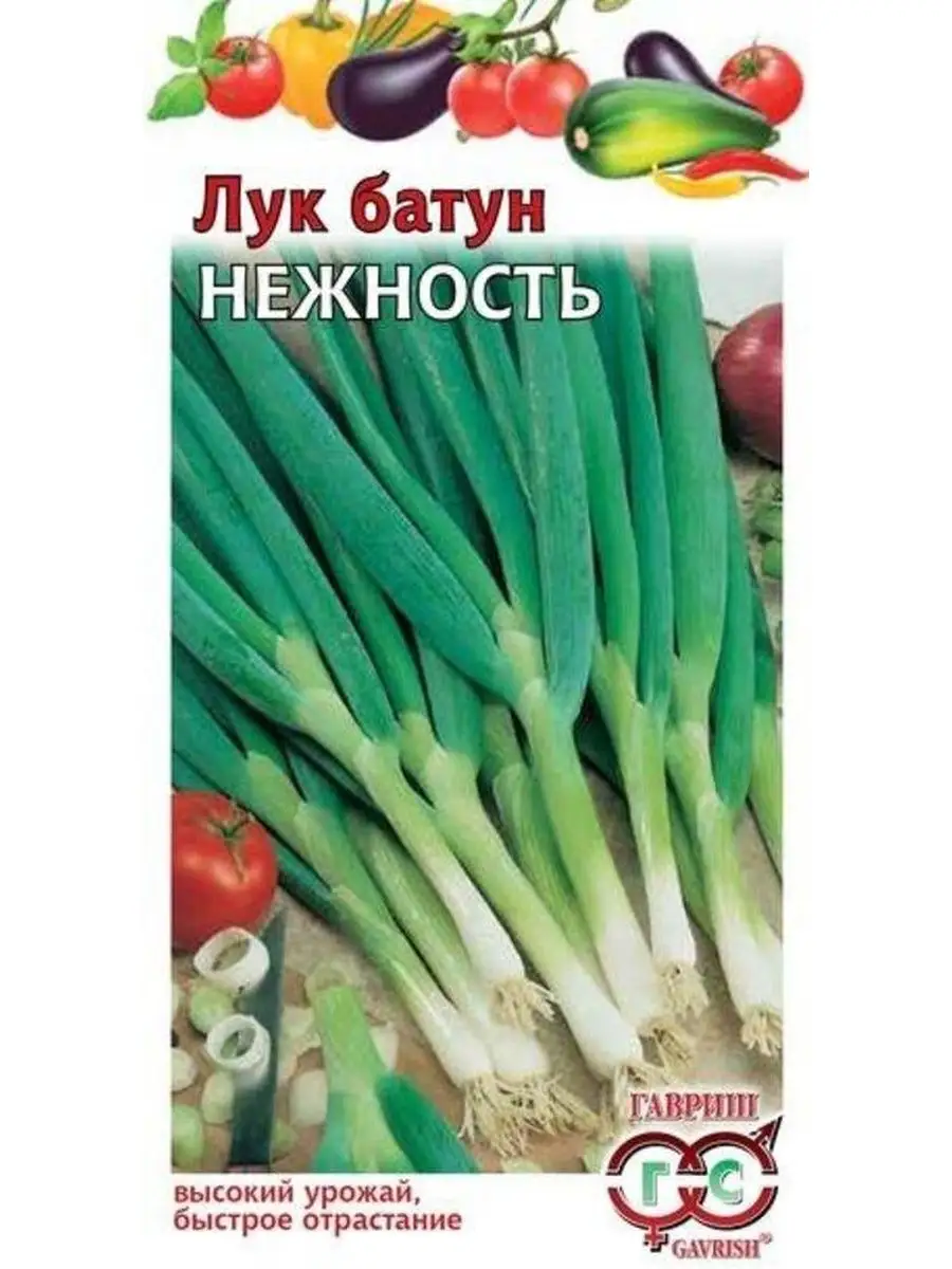 Семена лук батун НЕЖНОСТЬ 0.5 г ДАЧА ОНЛАЙН купить по цене 0 сум в  интернет-магазине Wildberries в Узбекистане | 149754264