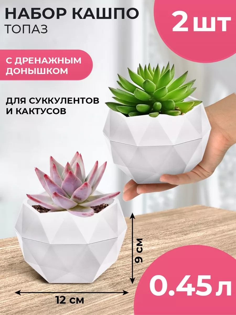 Растения + Фиалки
