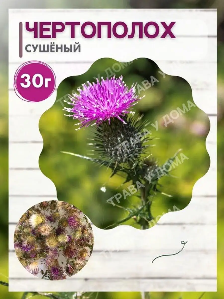 Чертополох сушеный - 30 г Трава у дома купить по цене 350 ₽ в  интернет-магазине Wildberries | 149916429