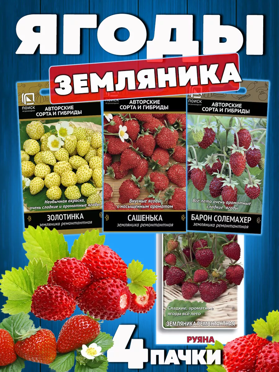 Семена земляники ремонтантной для сада и дома ПОИСК купить по цене 409 ₽ в  интернет-магазине Wildberries | 150236496