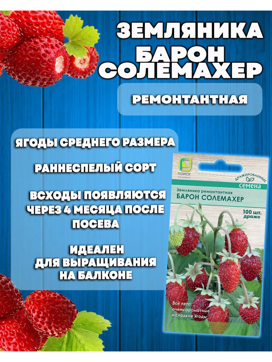 Семена земляники ремонтантной для сада и дома ПОИСК купить по цене 409 ₽ в  интернет-магазине Wildberries | 150236496