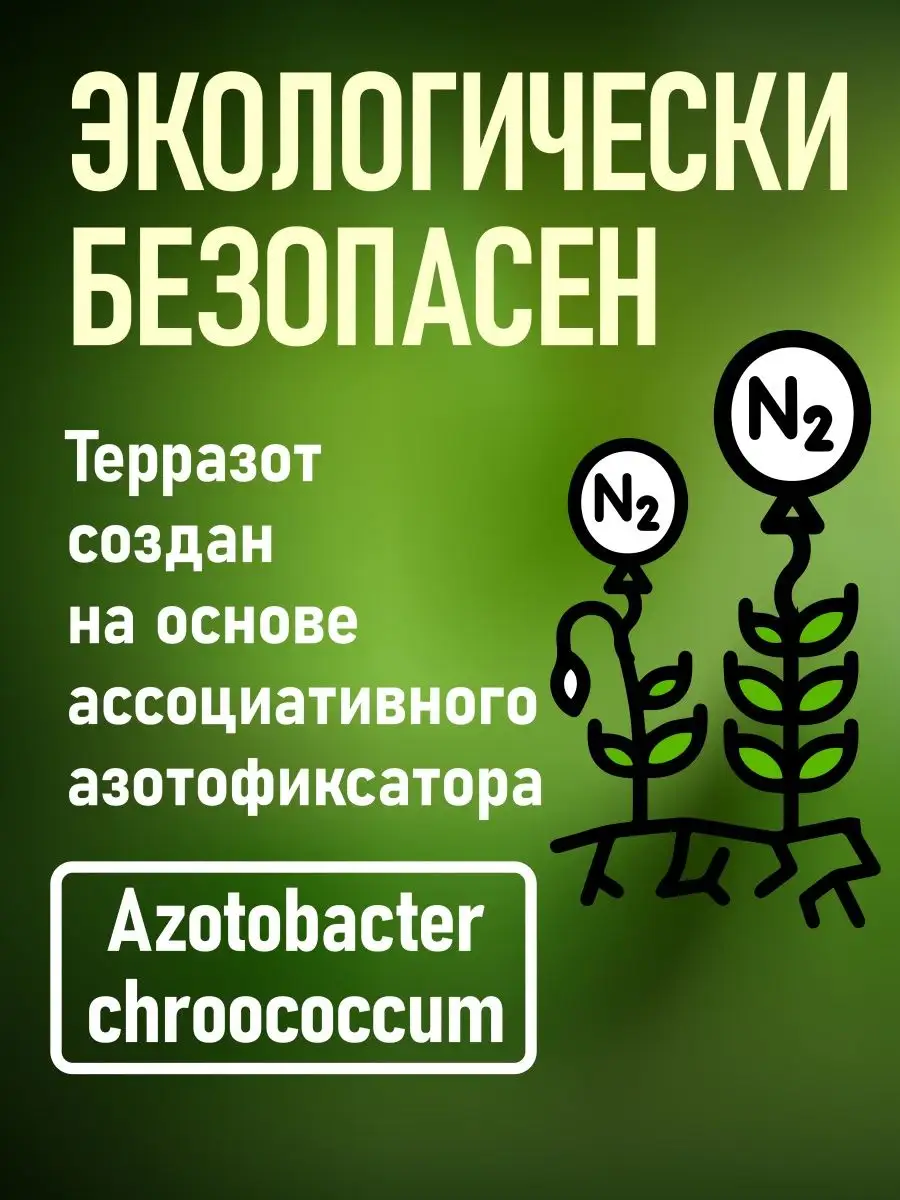 Биологический стимулятор роста Azotobacter chroococcum Терразот купить по  цене 300 ₽ в интернет-магазине Wildberries | 150498061