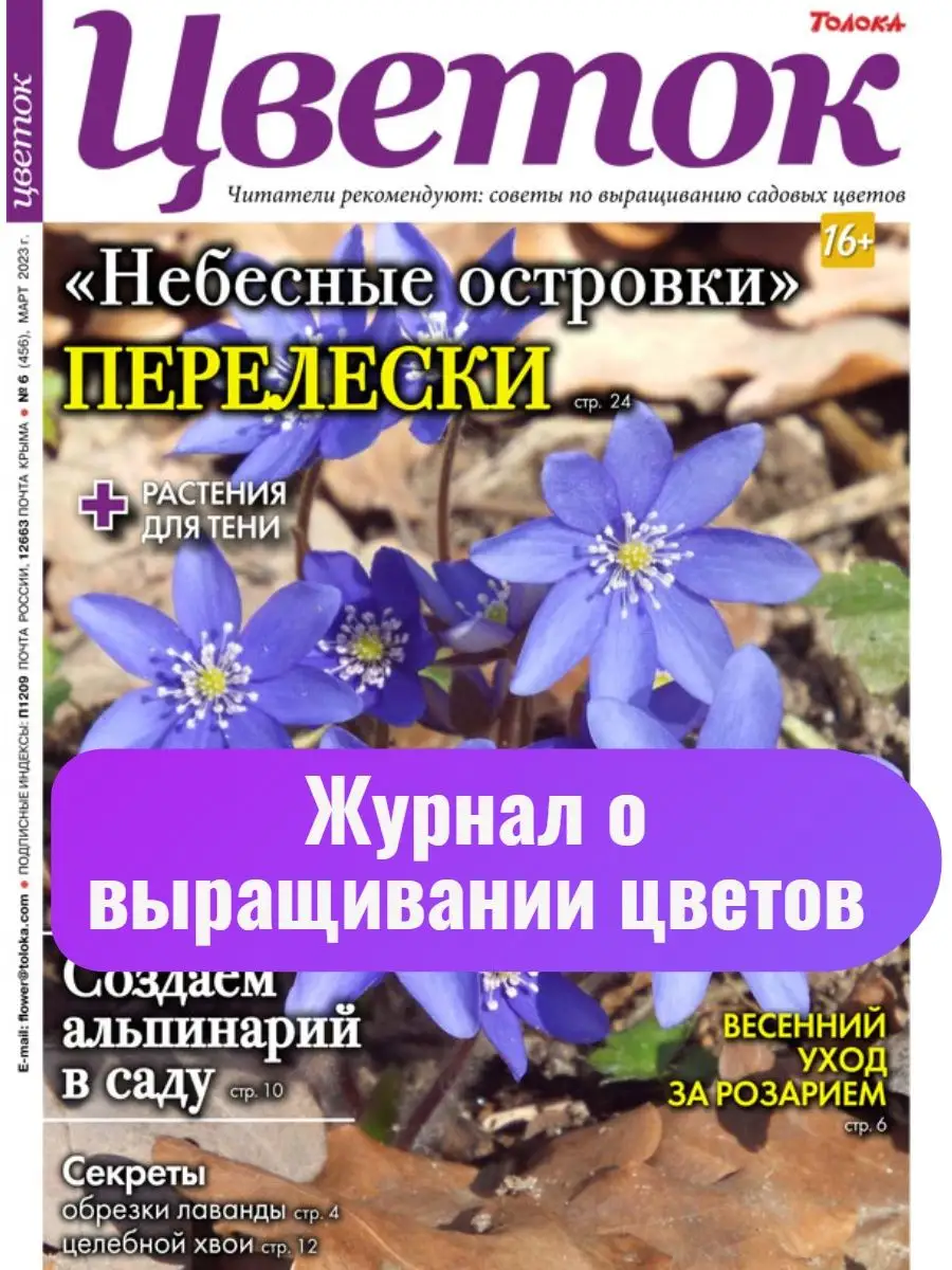 Красивые цветы для дома и для сада. Создаём альпинарий №6 23 Цветок купить  по цене 184 ₽ в интернет-магазине Wildberries | 150806788