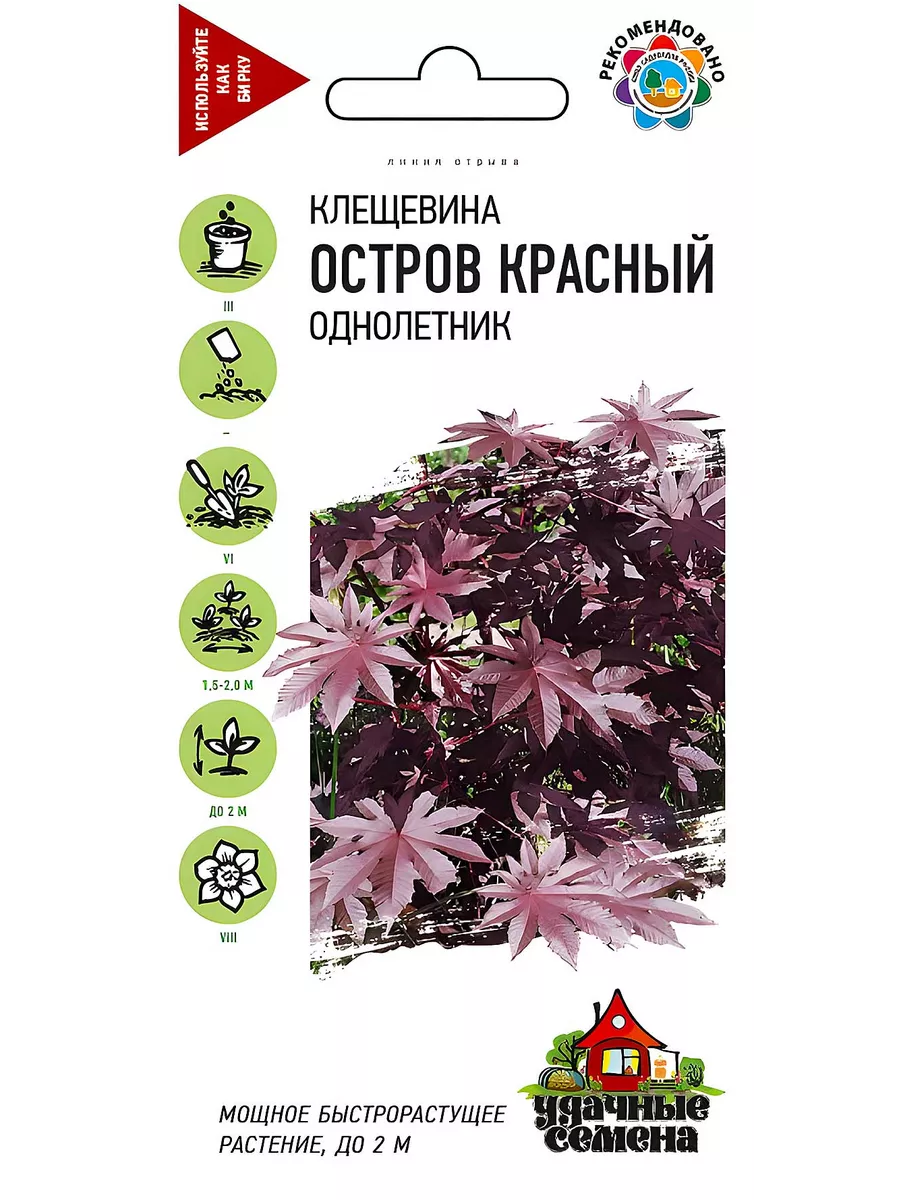 Клещевина Остров Красный Гавриш купить по цене 0 сум в интернет-магазине  Wildberries в Узбекистане | 150989424