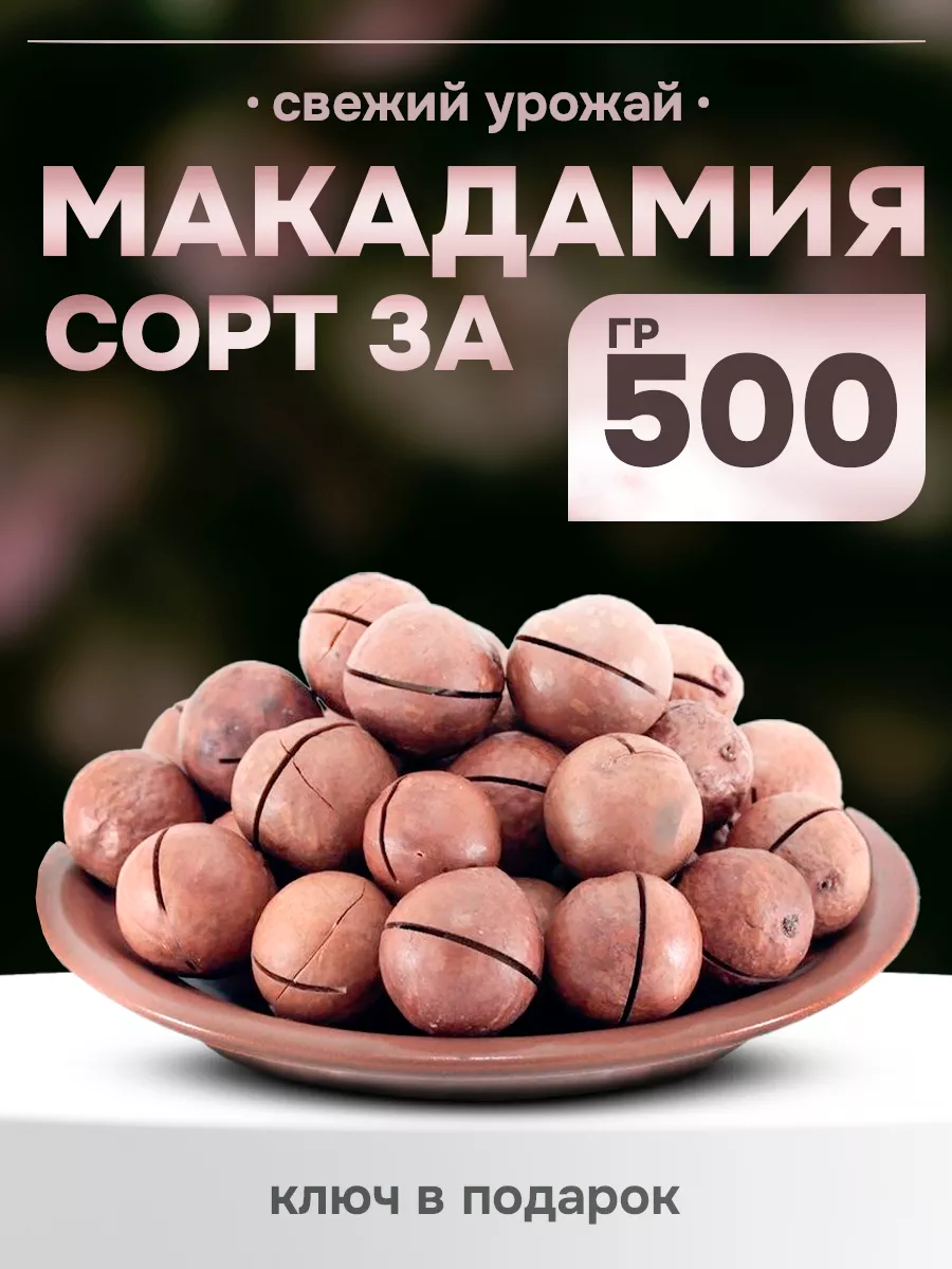 Орехи Макадамия 500гр с ключом в скорлупе 3А Natural food купить по цене  17,47 р. в интернет-магазине Wildberries в Беларуси | 151034584