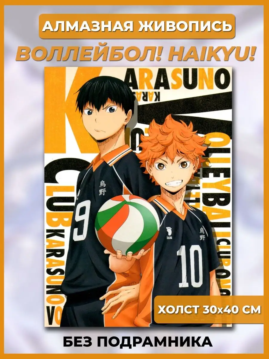 Ollivander Алмазная живопись аниме мозаика Волейбол Haikyuu Genshin