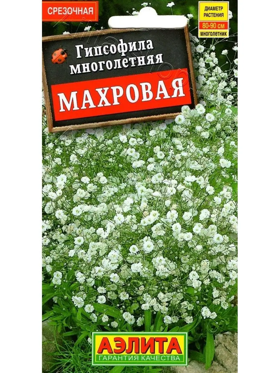 Гипсофила Махровая многолетняя (0,05 г), 2 пакета Агрофирма Аэлита купить  по цене 0 сум в интернет-магазине Wildberries в Узбекистане | 152510072