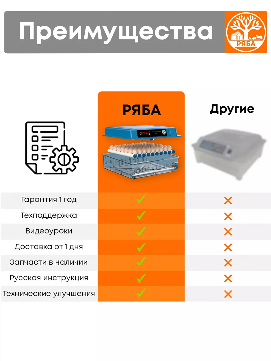 Как легко отделить желток от белка у куриного яйца