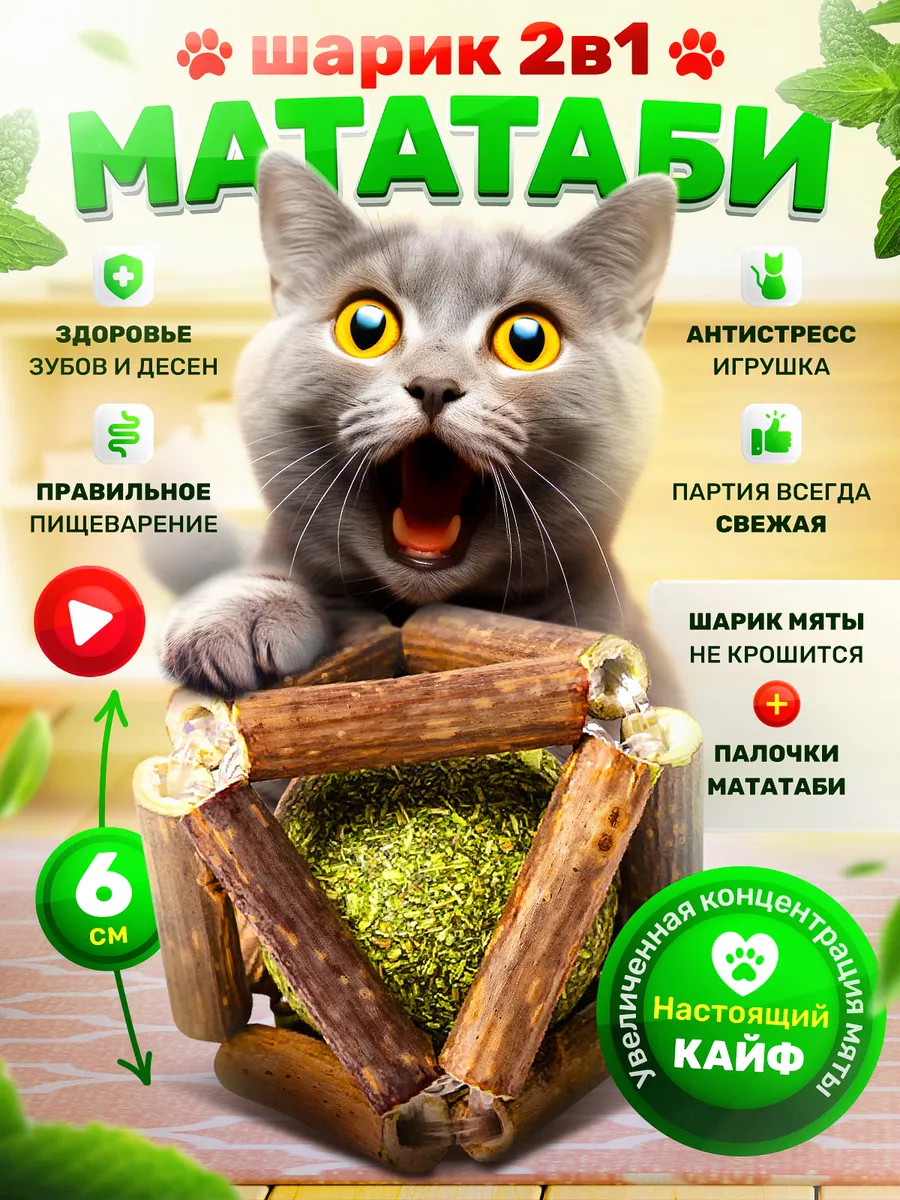 Игрушка для кошек шарик мататаби с мятой DPzoo купить по цене 5,78 р. в  интернет-магазине Wildberries в Беларуси | 152594196