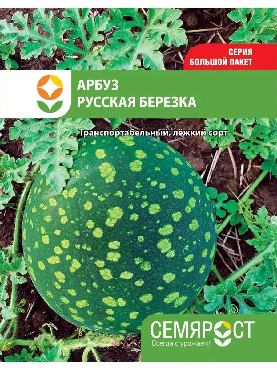 СемяРост Семена Арбуз Русская березка 4г Семярост