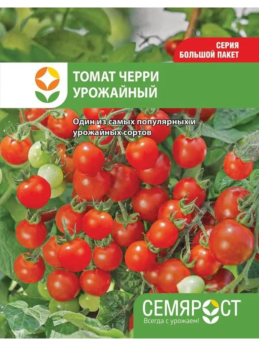 Семена Томат черри Урожайный 0.3г СемяРост купить по цене 72 ₽ в  интернет-магазине Wildberries | 152614378