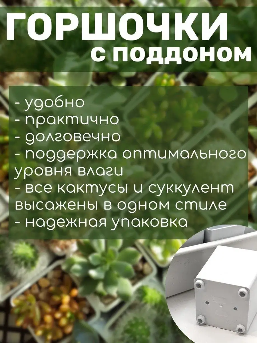 Умный садовод Набор горшочков для кактусов 0,21л и суккулентов с поддоном