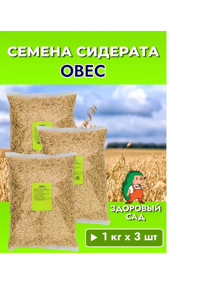 Семена Сидерат Овес, 3шт х 1кг