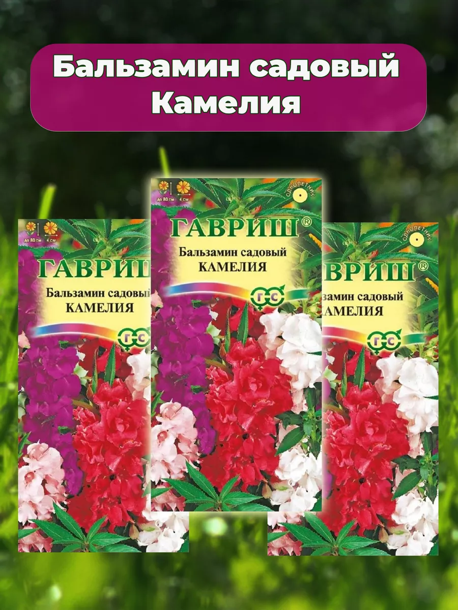 Бальзамин садовый Камелия Гавриш купить по цене 0 сум в интернет-магазине  Wildberries в Узбекистане | 153254973