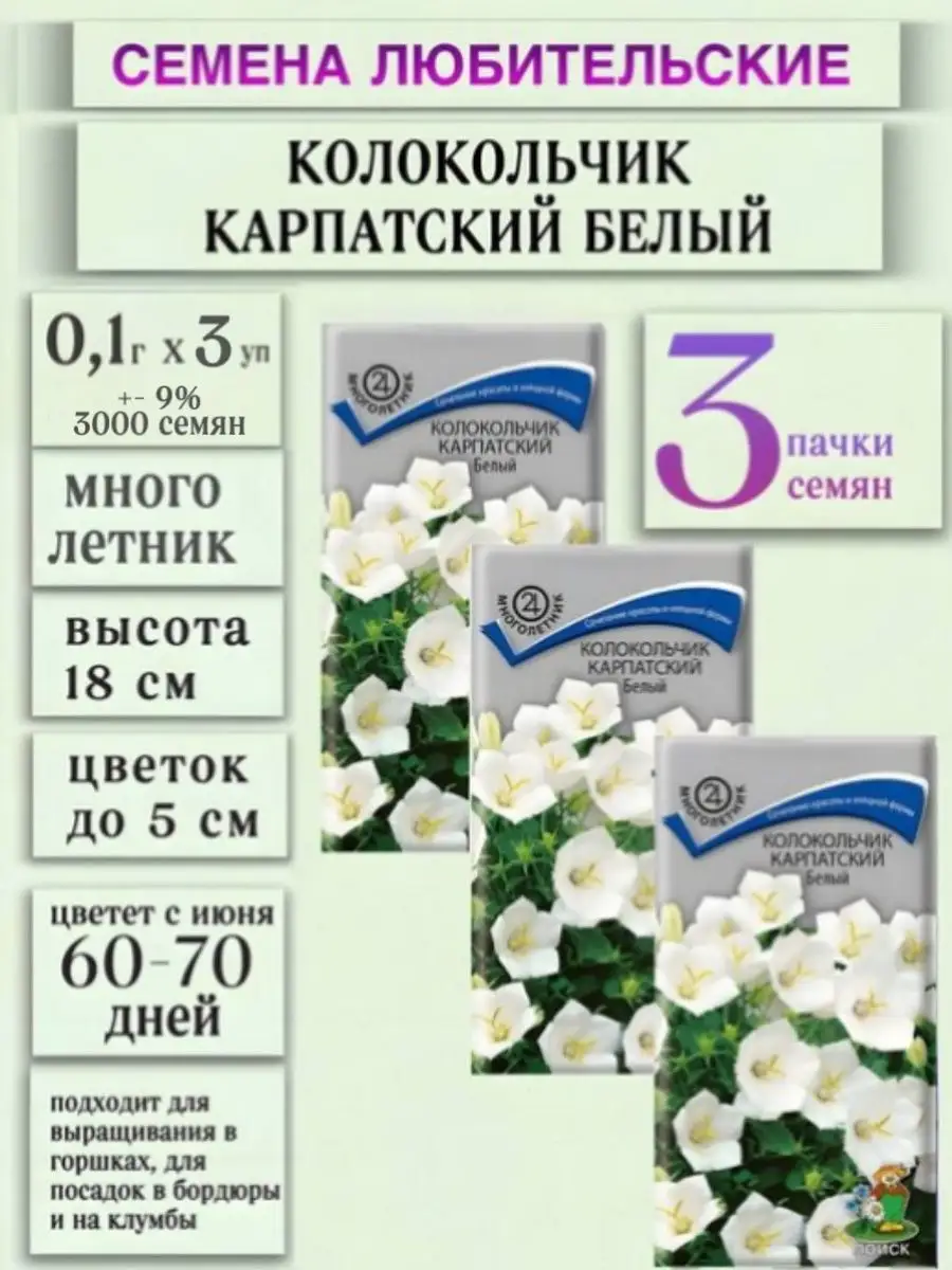 Колокольчик карпатский белый, 3 уп ПОИСК купить по цене 185 ₽ в  интернет-магазине Wildberries | 153463091