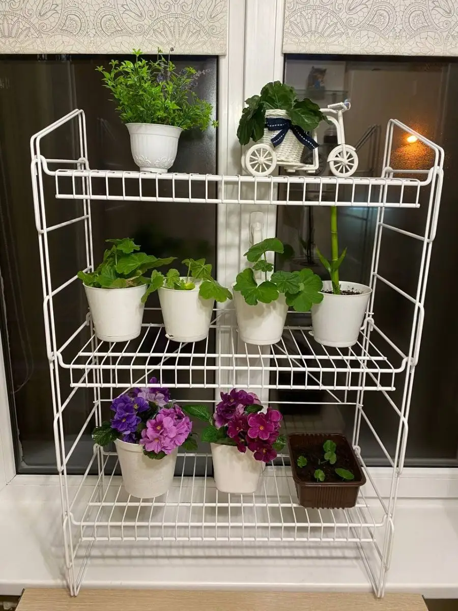 Напольная подставка-стеллаж для цветов и растений.