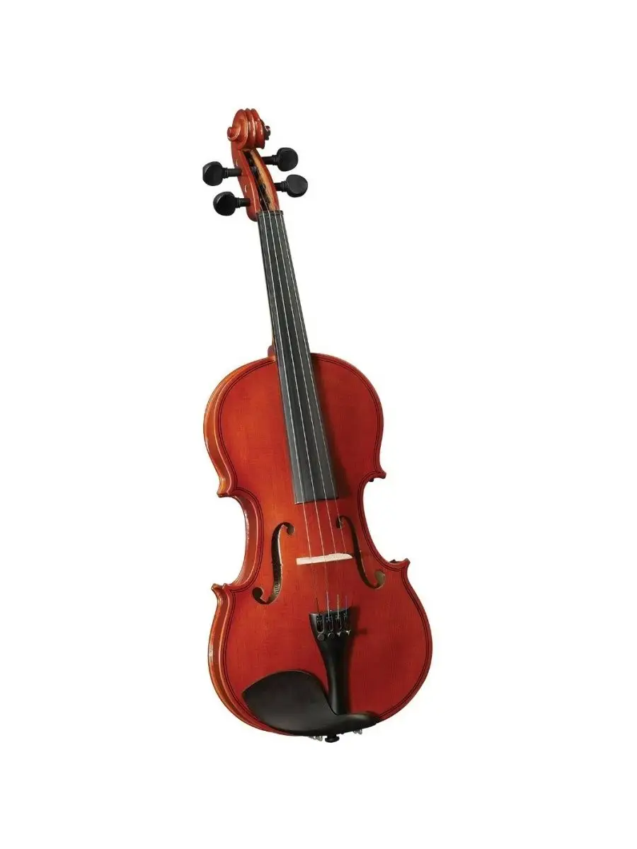 CREMONA HV-100 Novice Violin Outfit 1 8 Скрипка SAGA MUSIC купить по цене 2  837 100 сум в интернет-магазине Wildberries в Узбекистане | 154671598