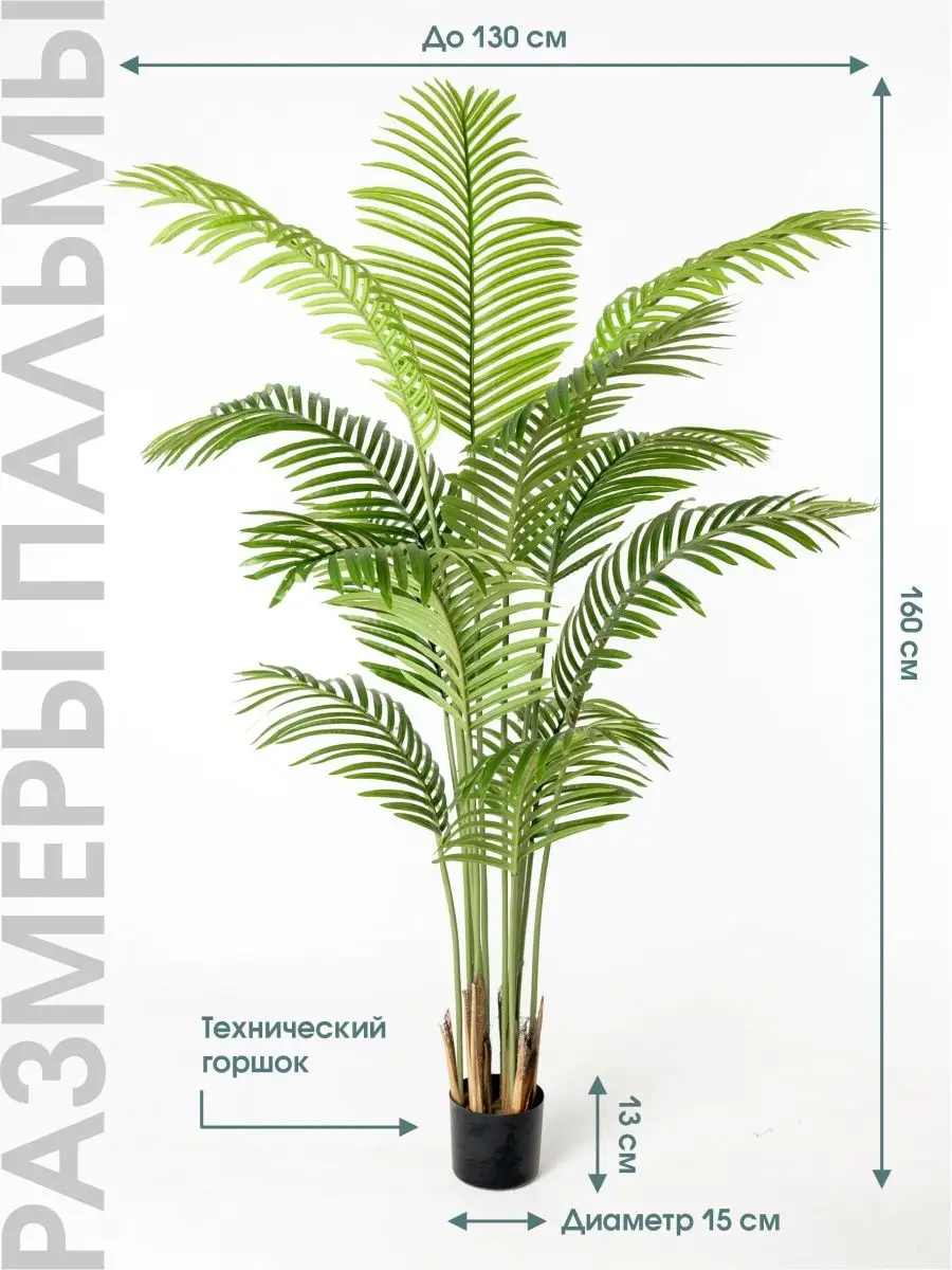 Декоративное дерево пальма 160 см Alberi купить по цене 8 366 ₽ в  интернет-магазине Wildberries | 154701126