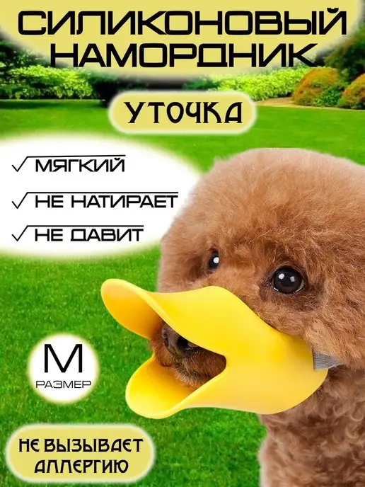 Намордник для той-терьера: купить в TAKSA STORE