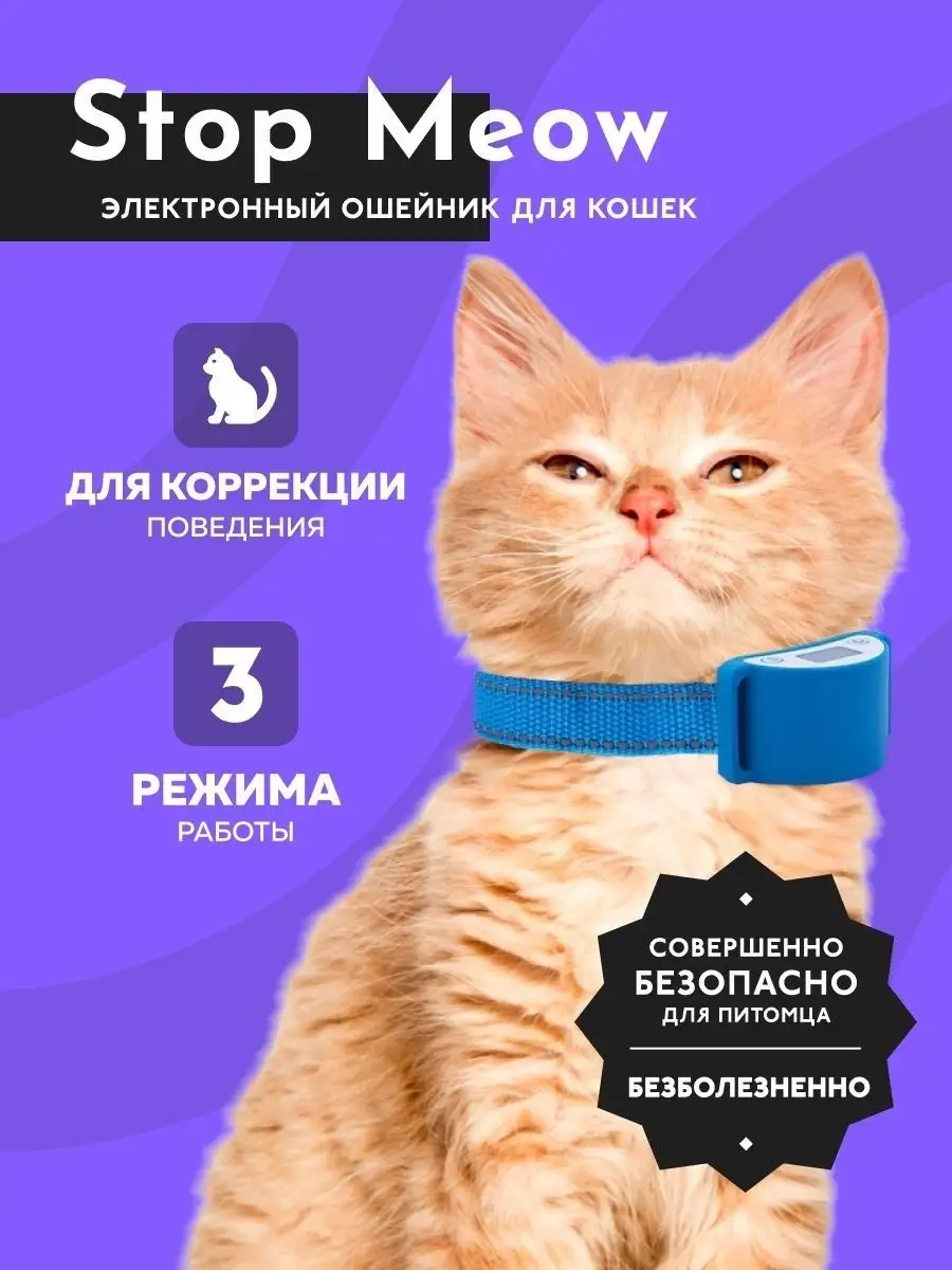 Wildberries — интернет-магазин модной одежды, обуви и аксессуаров