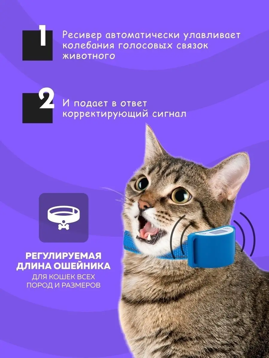 Wildberries — интернет-магазин модной одежды, обуви и аксессуаров