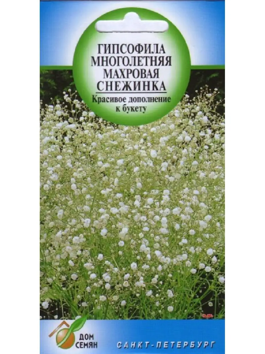 Гипсофила Снежинка, многолетняя махровая, 50 семян Дом Семян купить по цене  0 сум в интернет-магазине Wildberries в Узбекистане | 156430818