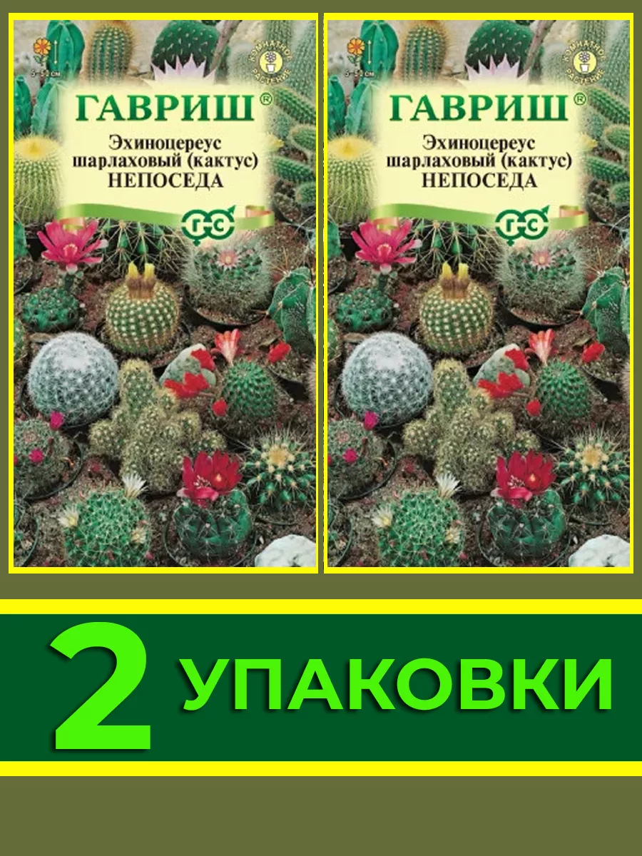 Семена кактусов комнатных Экзотические виды купить по цене 194 ₽ в  интернет-магазине Wildberries | 156948405