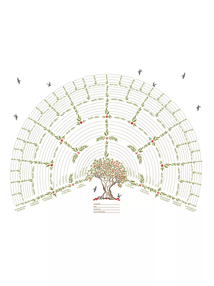 Генеалогическое дерево семьи - раскраска для детей
