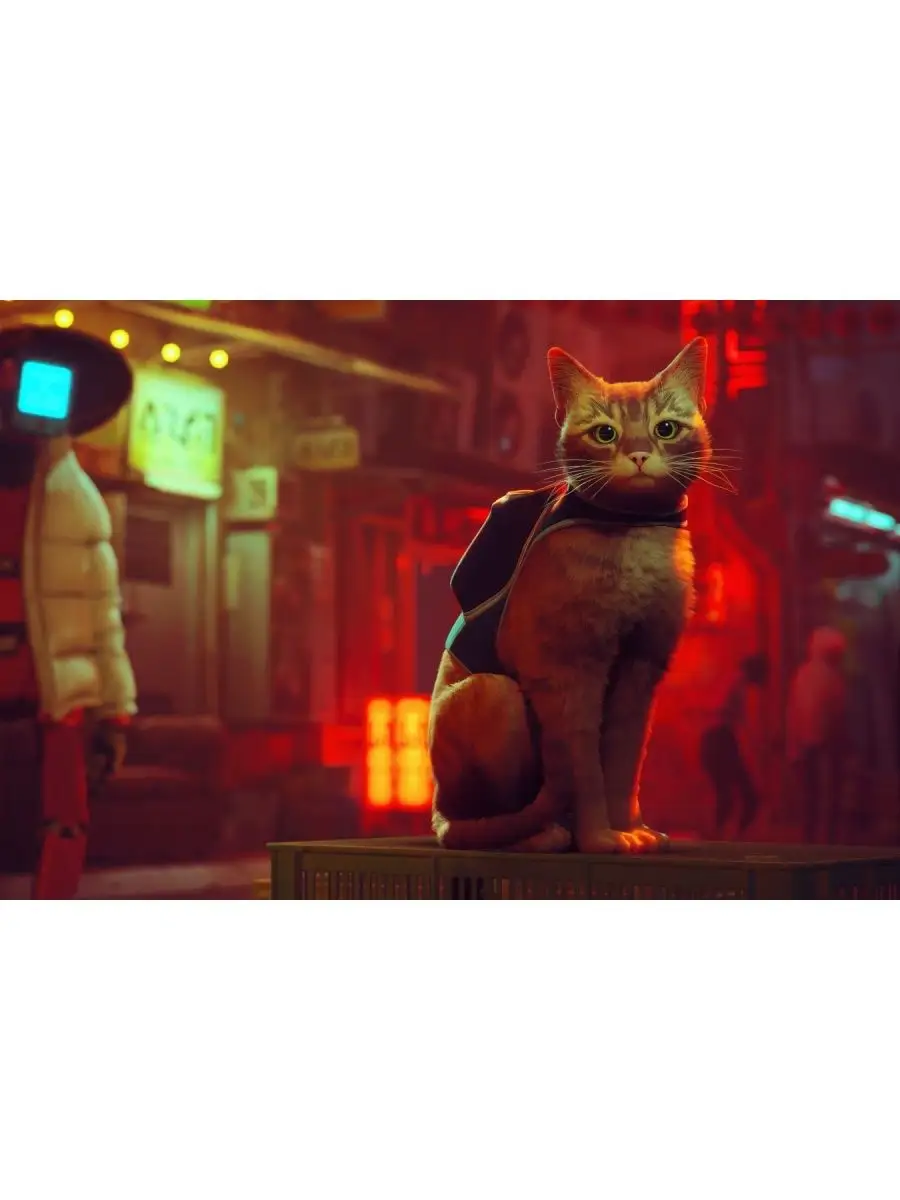 СитиВайб Игра Stray (русские субтитры) (PS4) (Диск)