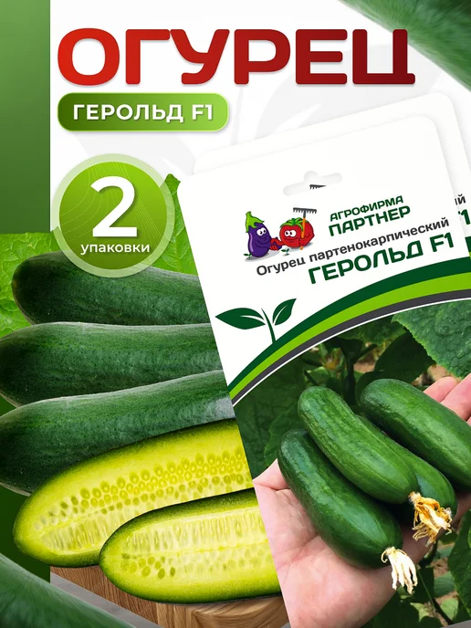 Огурцы Эстет Отзывы Фото