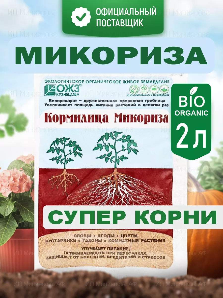 Биочарс