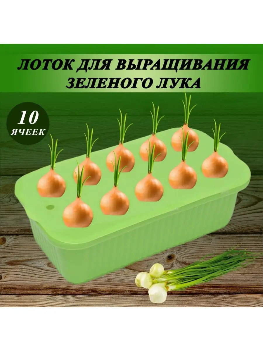 Лоток (контейнер) для выращивания зелёного лука Greengo купить по цене 236  ₽ в интернет-магазине Wildberries | 158702341