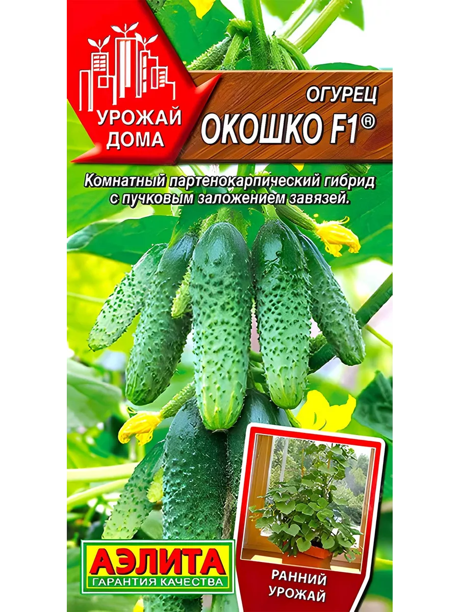 Огурец Окошко F1 балконный комнатный Урожай дома купить по цене 124 ₽ в  интернет-магазине Wildberries | 159244910