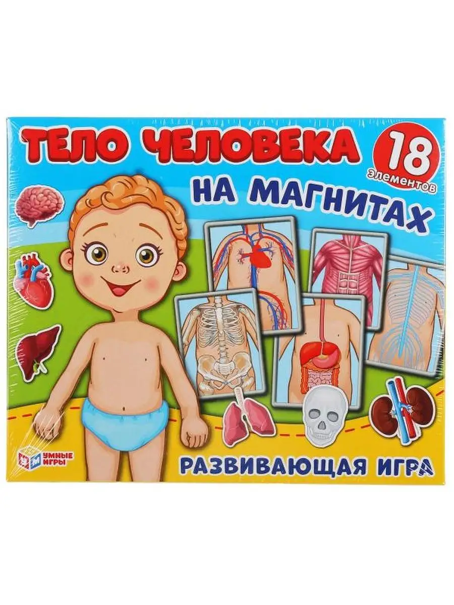 Развивающая настольная игра на магнитах тело человека