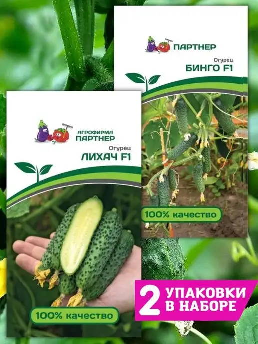 Семена Огурцов Гоша И Шоша Купить