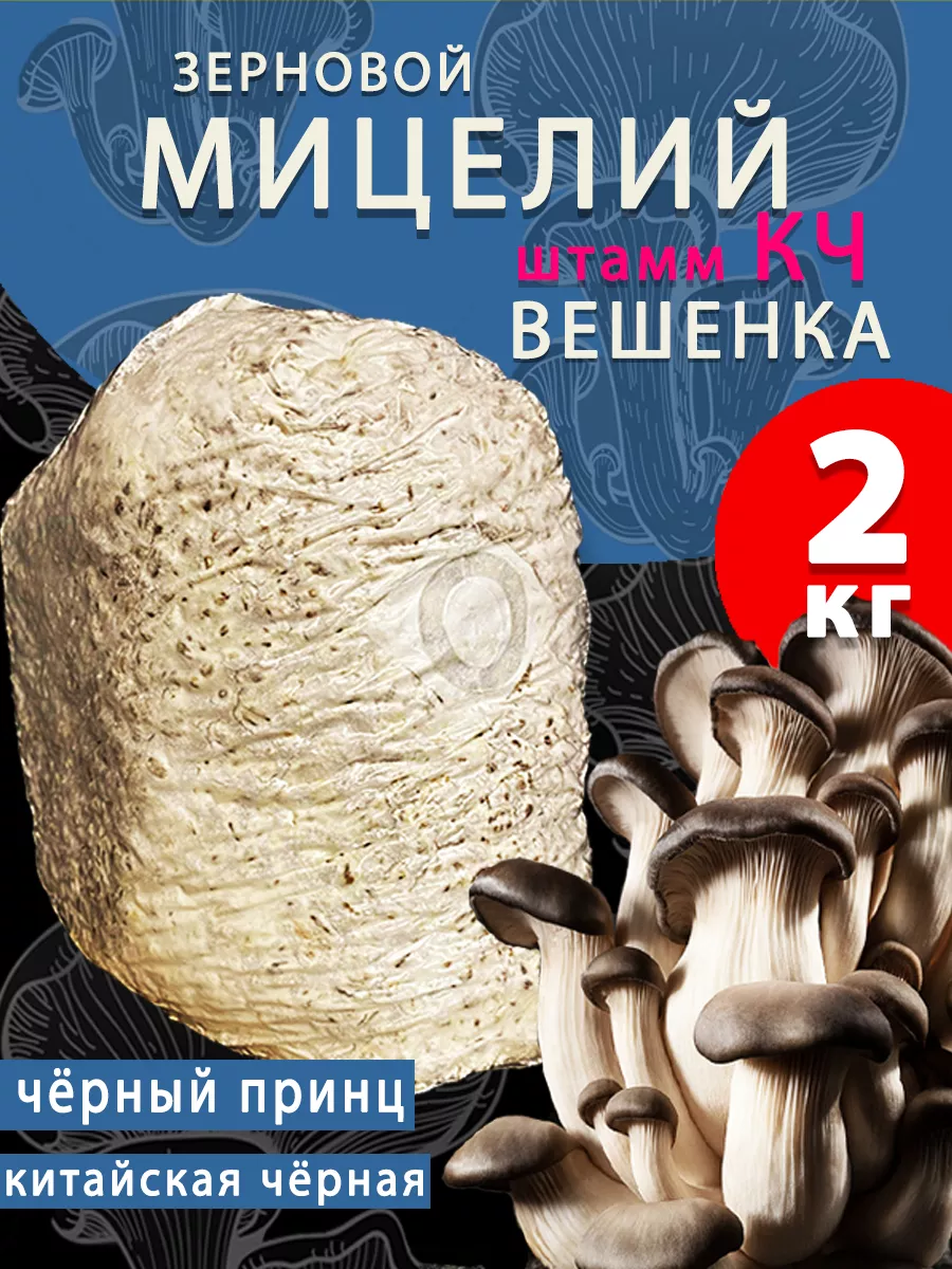 Мицелий вешенки зерновой КЧ (Чёрный принц) - 2 кг ПоГрибок купить по цене  666 ₽ в интернет-магазине Wildberries | 159966040