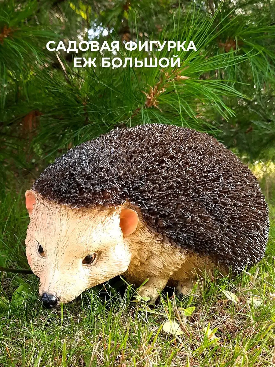 Большой ежик