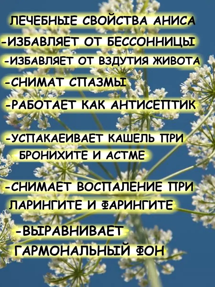 Анис семена пищевые Дерево Любви купить по цене 0 сум в интернет-магазине  Wildberries в Узбекистане | 160166974